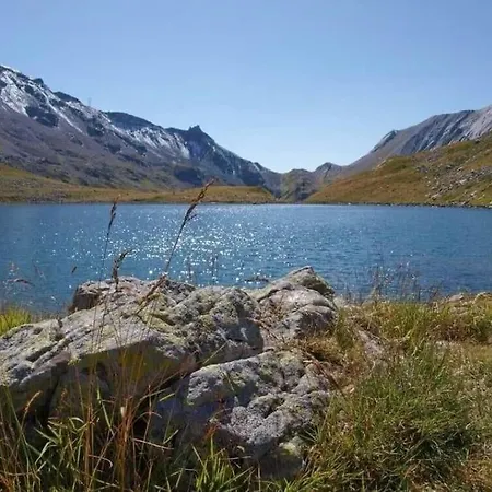 De L'ours Blanc