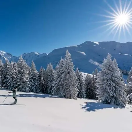 Σαλέ De L'ours Blanc
