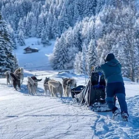 De L'ours Blanc Saint-Gervais-les-Bains